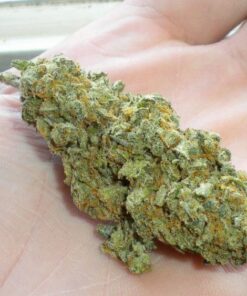 buy green crack strain