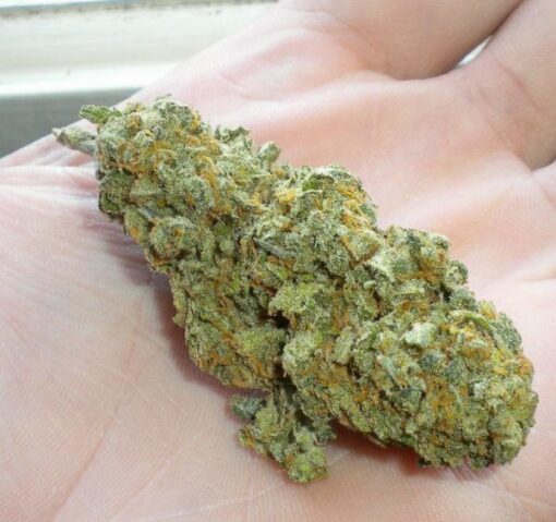 buy green crack strain