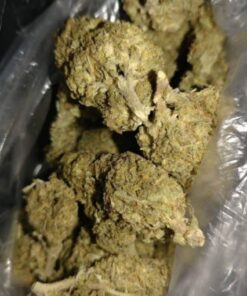 buy banana kush weed strain