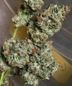 buy bruce banner strain