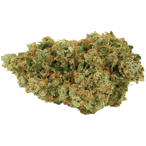 Buy Jack Herer Strain Online