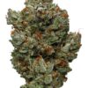 buy master bubba strain