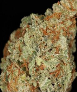 buy nyc diesel strain