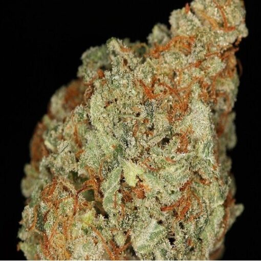 buy nyc diesel strain