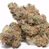 buy candyland cookies strain