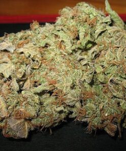 buy sleestack kush online