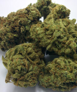 buy afghani hawaiian strain