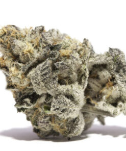 buy girl scout cookies strain