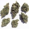 Buy Holy Grail Kush online