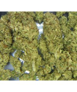 buy kosher kush weed strain