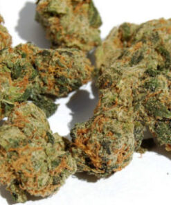 buy pure kush strain