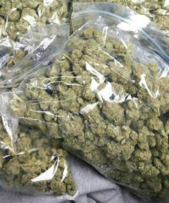 Buy Pound Of Weed Online