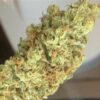 buy super lemon haze